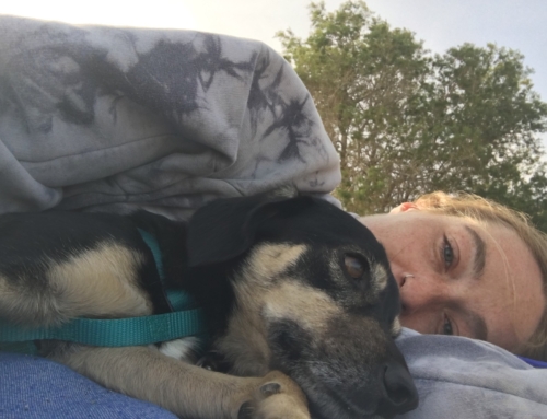 Holding Space for Grief