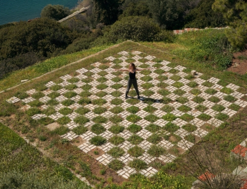 Stepping Onto a New Path